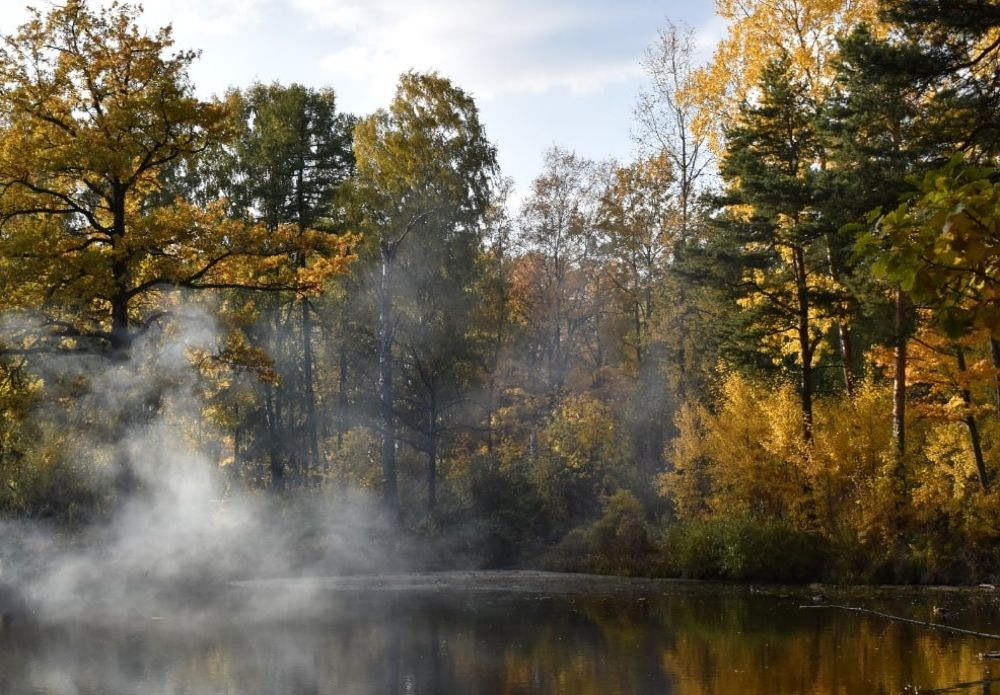 Photograph by Александра Мазур