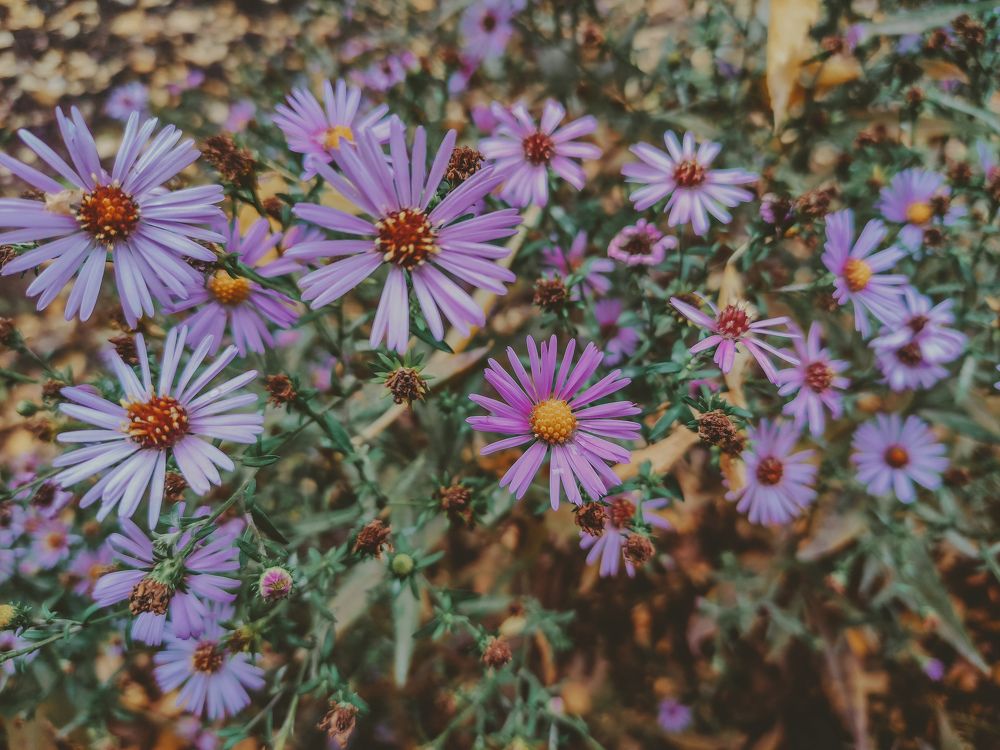 Photograph by Екатерина Васильева