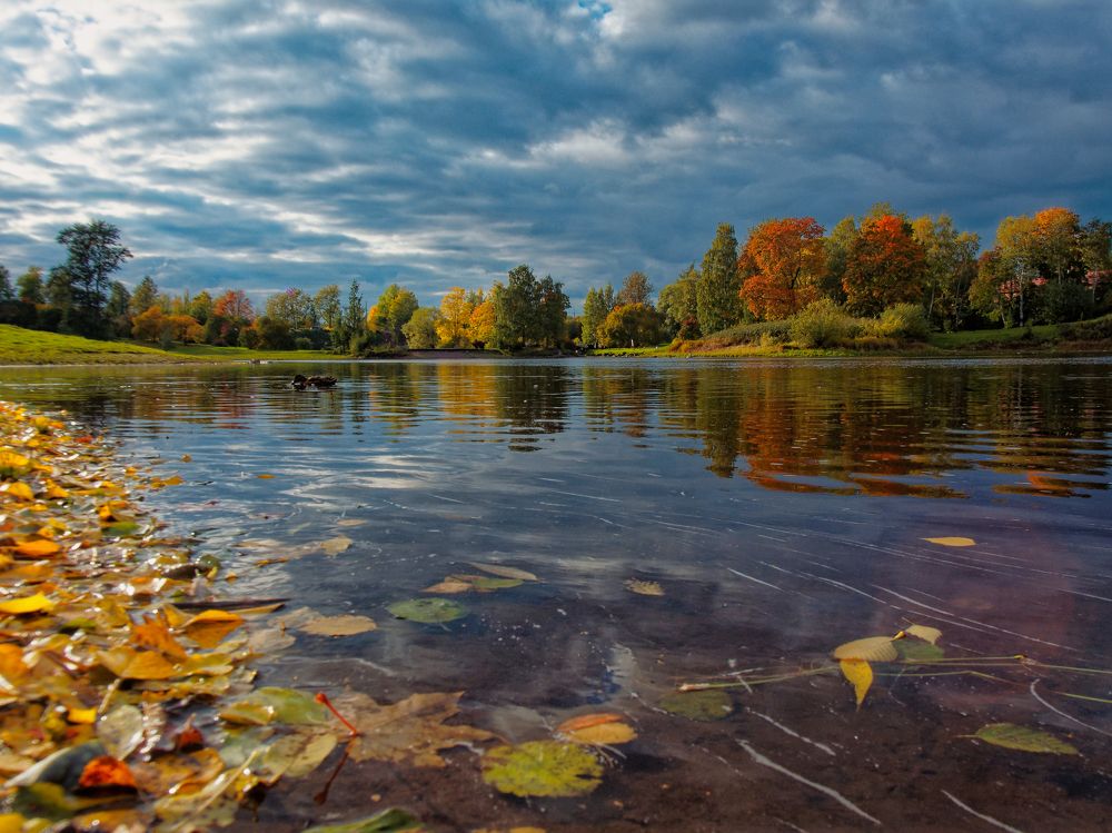 Photograph by Алексей Долженко