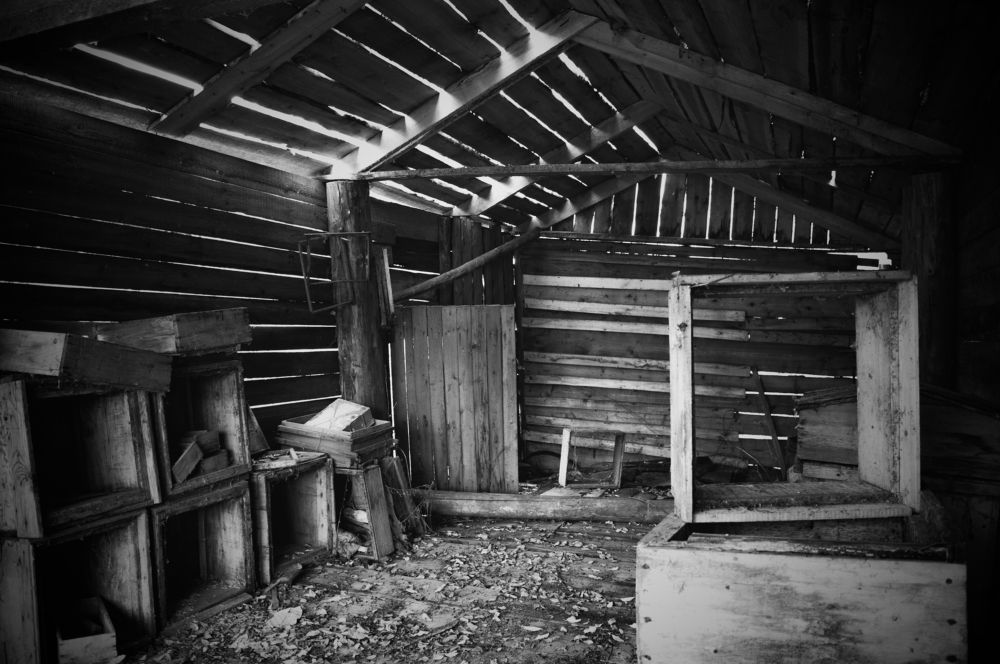 Photograph by Николай Путинцев