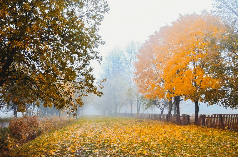 Photograph by Дарья Миронова