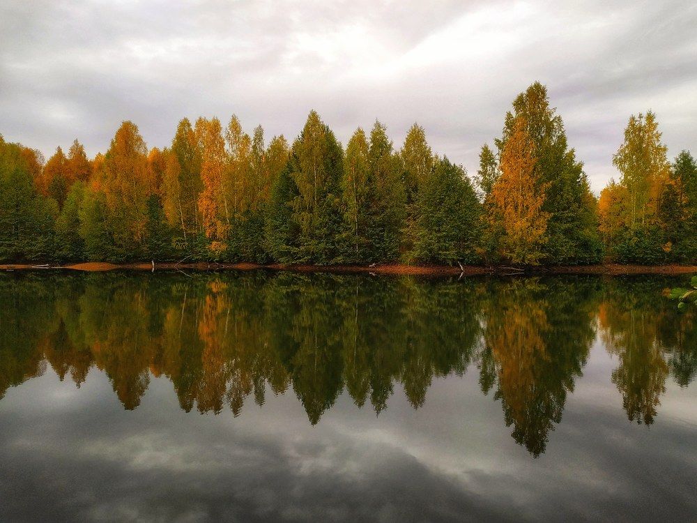 Photograph by Наталья Баруля