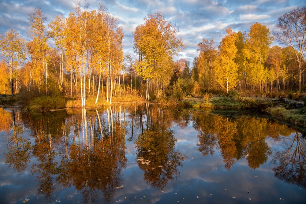 Photograph by Николай Швалюк