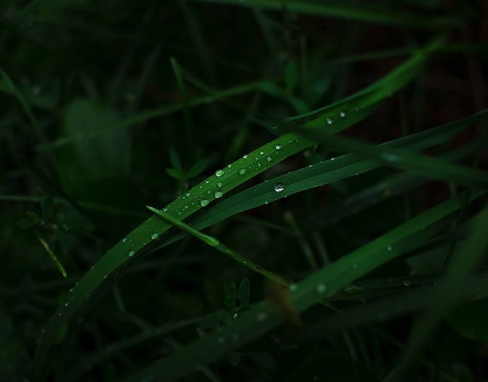 Photograph by Ганна Кліпіна