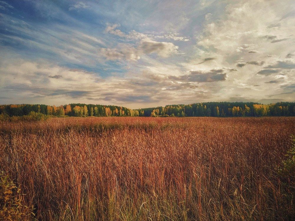 Photograph by Наталья Баруля