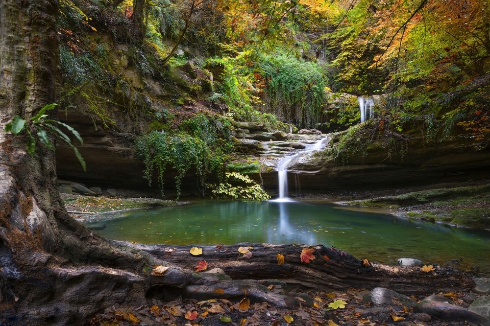 Photograph by Amir Khan