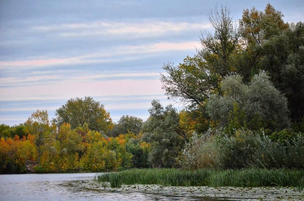 Осенний вечер на реке
