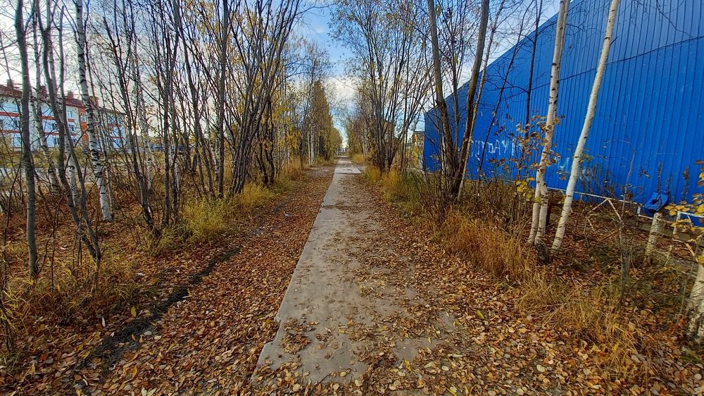 Фотография автора Евгения Зайцева