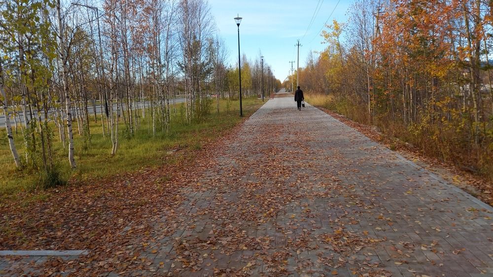 Фотография автора Евгения Зайцева