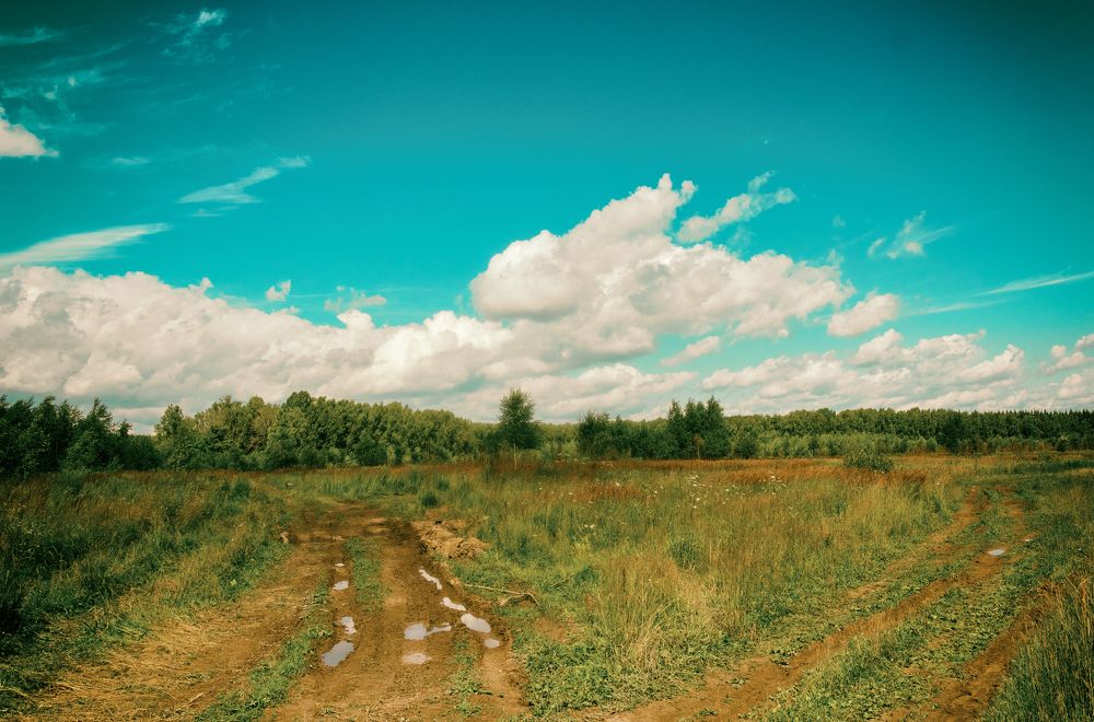 Photograph by Дубинин Сергей