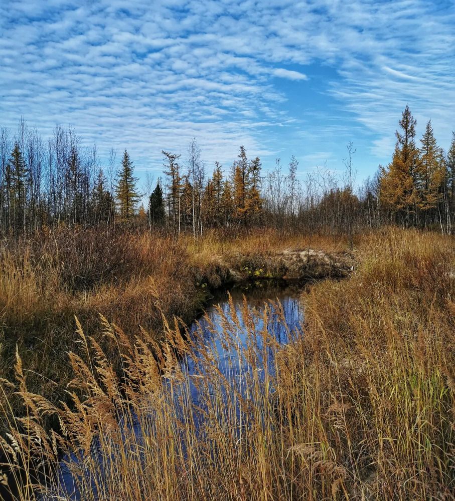 Photograph by Юлия Арестова