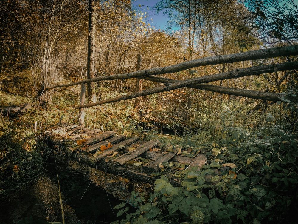 Photograph by Дубинин Сергей