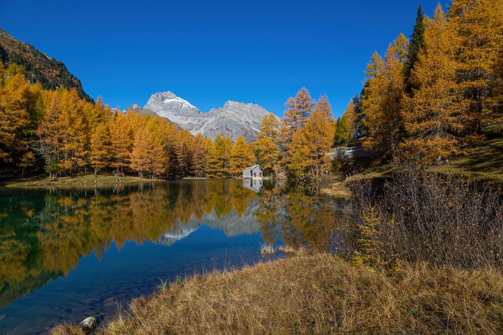 Photograph by Michael Mettier