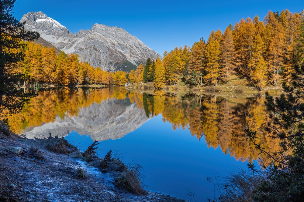 Photograph by Michael Mettier