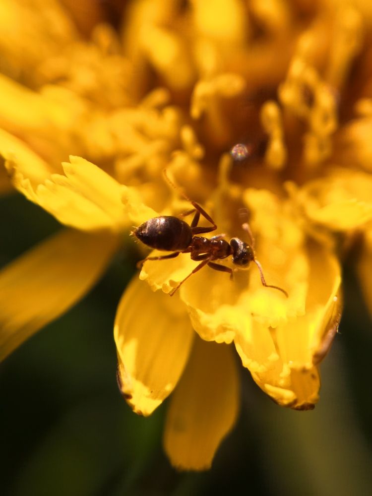 Photograph by Анна Голенева