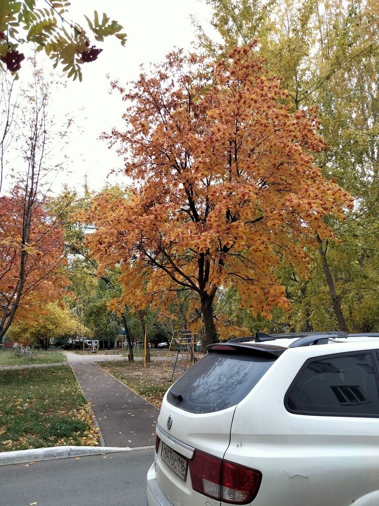 Photo #6566352
