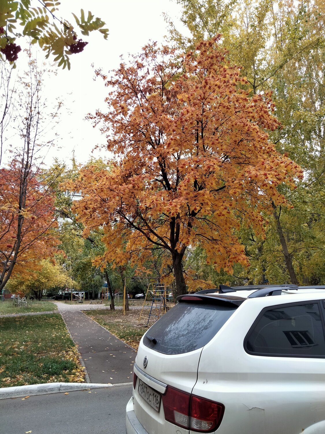 Photo #6566352
