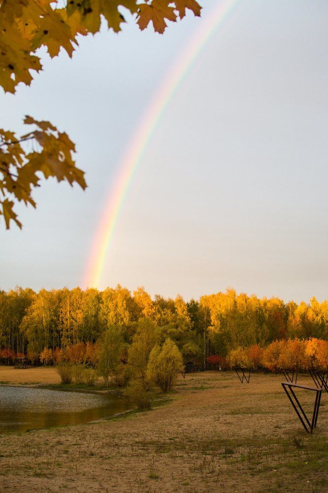 Photograph by Юлия Ефимова