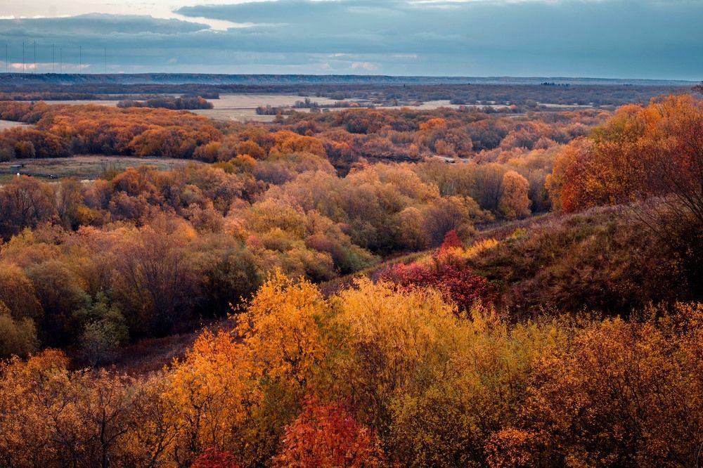 Photograph by Александр Титов