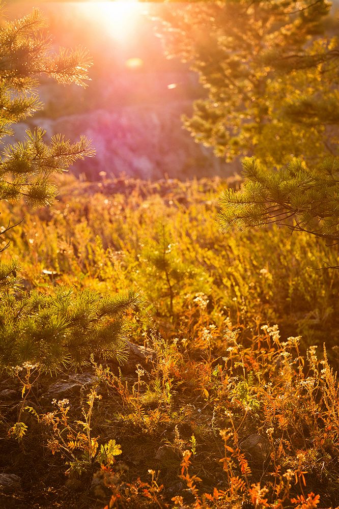 Photograph by Максимова Ольга Васильевна