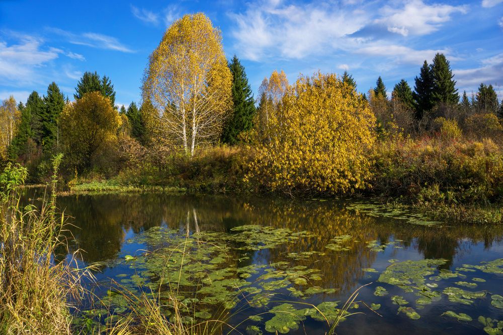 Photograph by Художников Павел