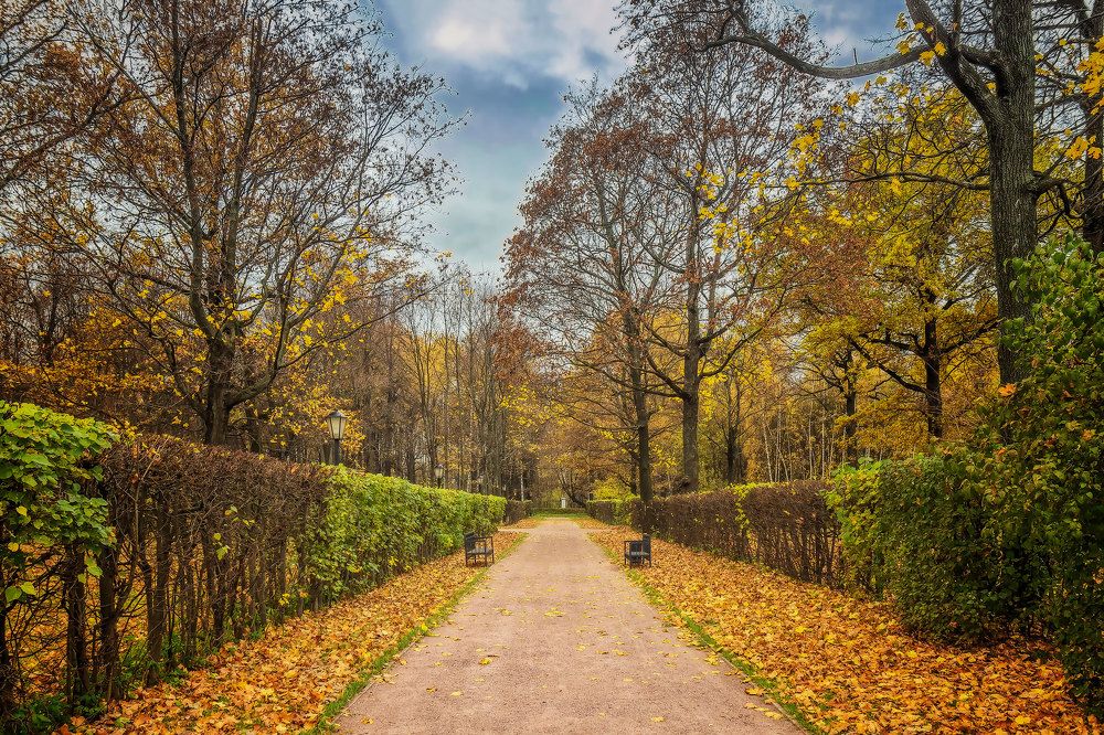 Photograph by Юрий Левко