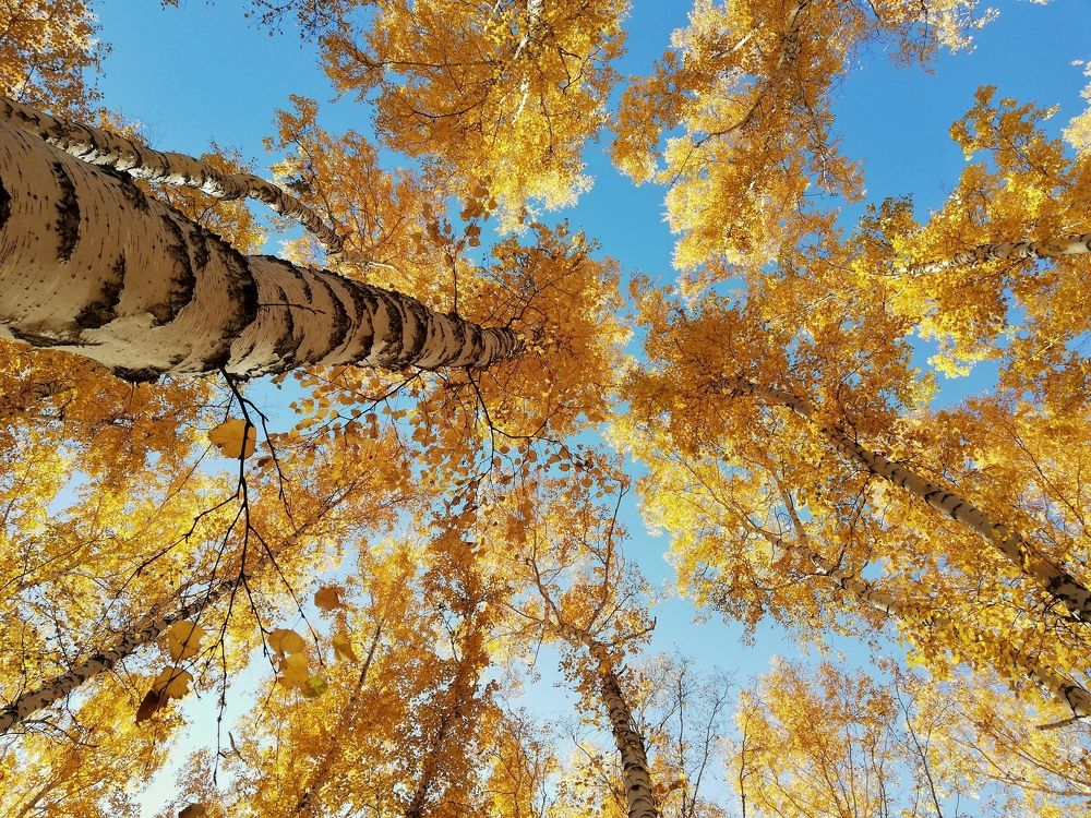 Photograph by Данил Макаренко