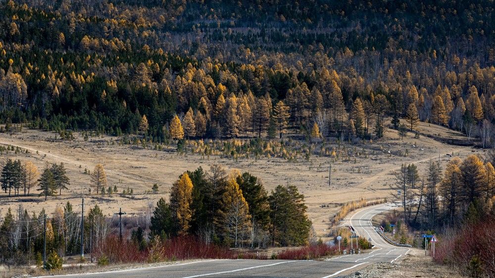 Photograph by Roman Bevzenko