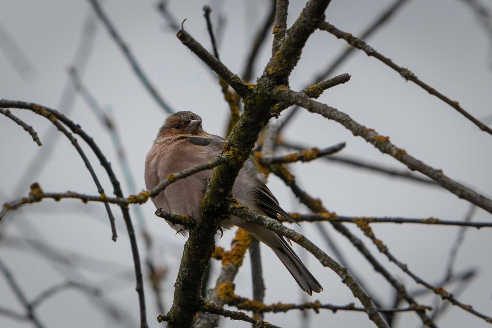 Photograph by Евгений Михеев