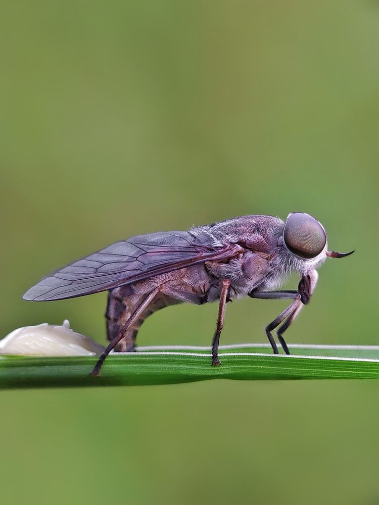 Photograph by Akash Pani