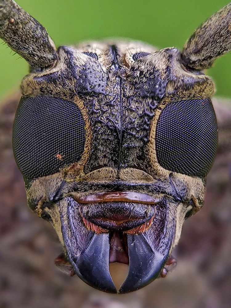 Photograph by Akash Pani