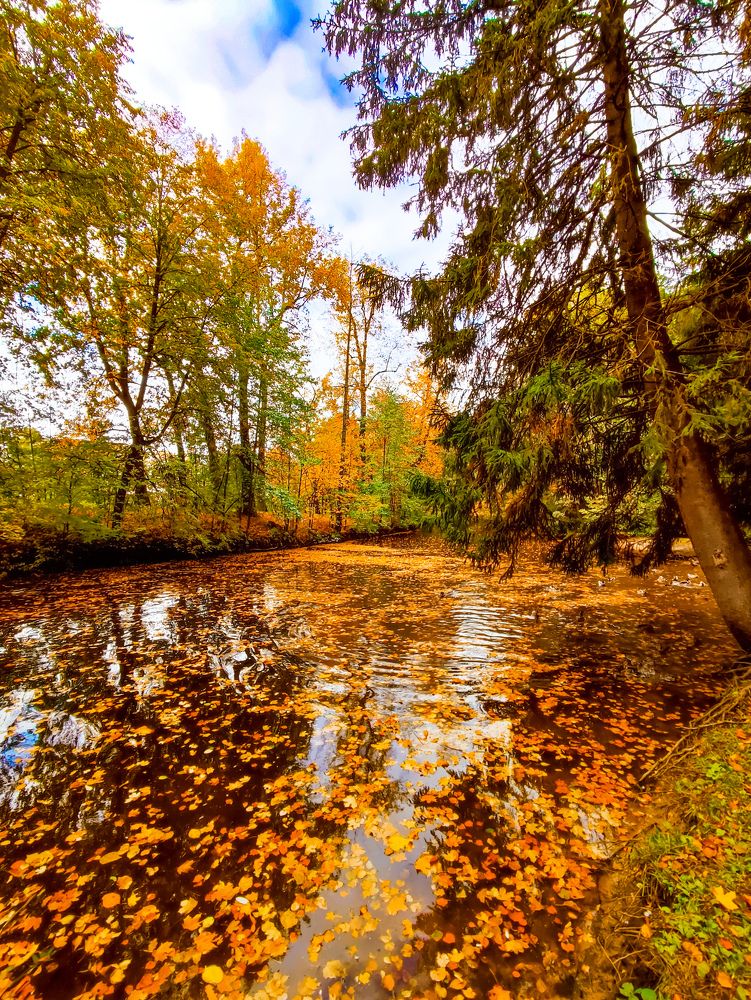 Photograph by Chic.chiquitita