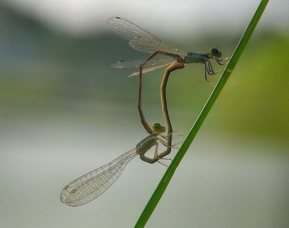 Photograph by Photography Debroto