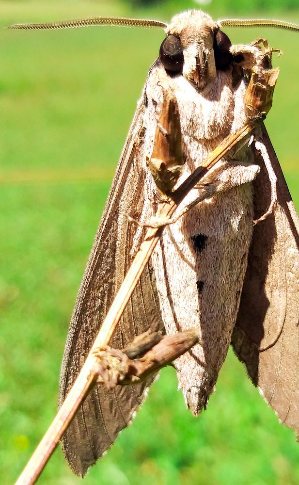 Photograph by Aleksandra Stipanović