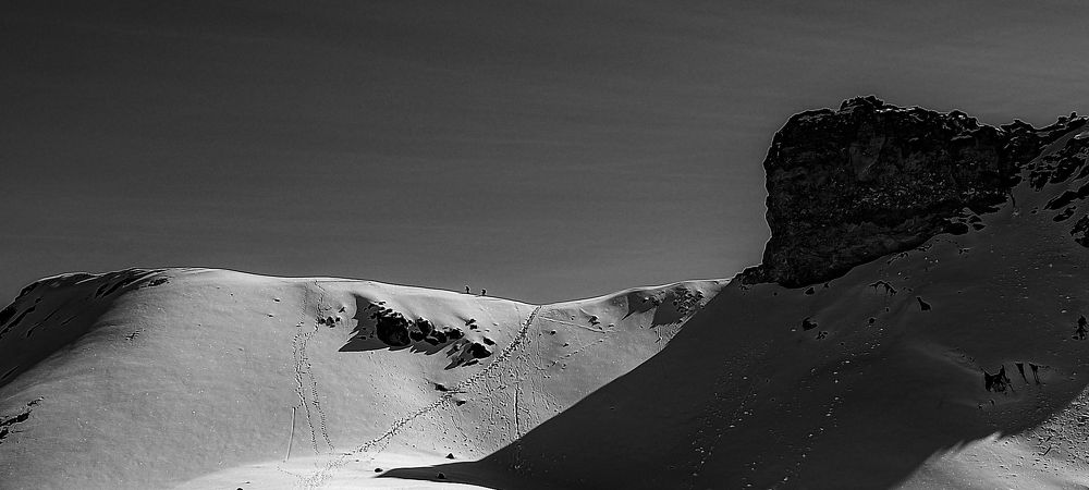 Photo #6566444