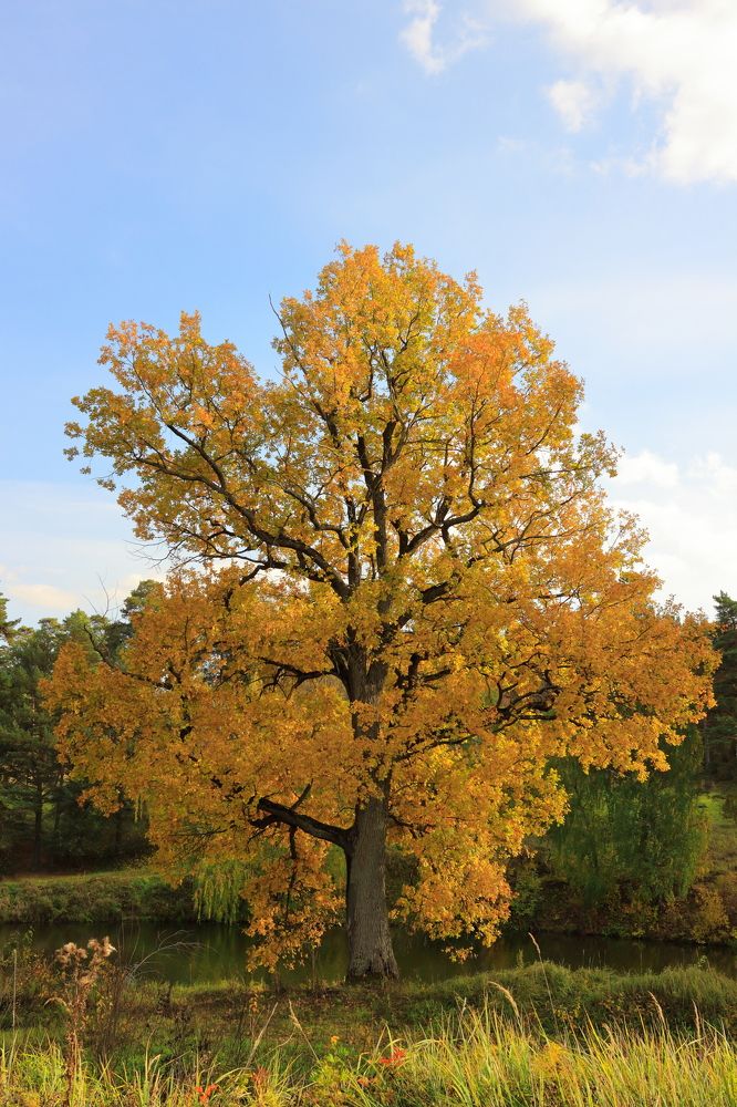 Photograph by Денис