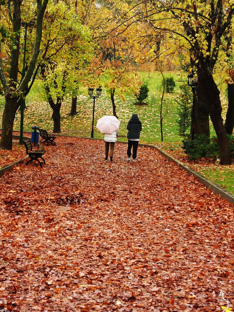 Photograph by Abdolreza Aleagha