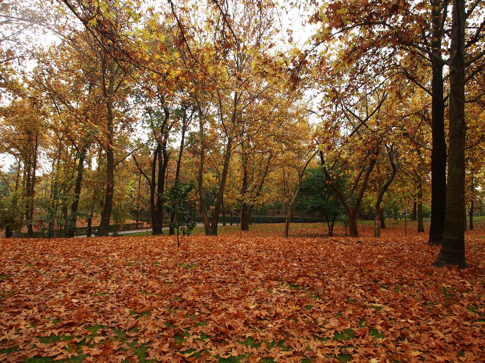 Photograph by Abdolreza Aleagha