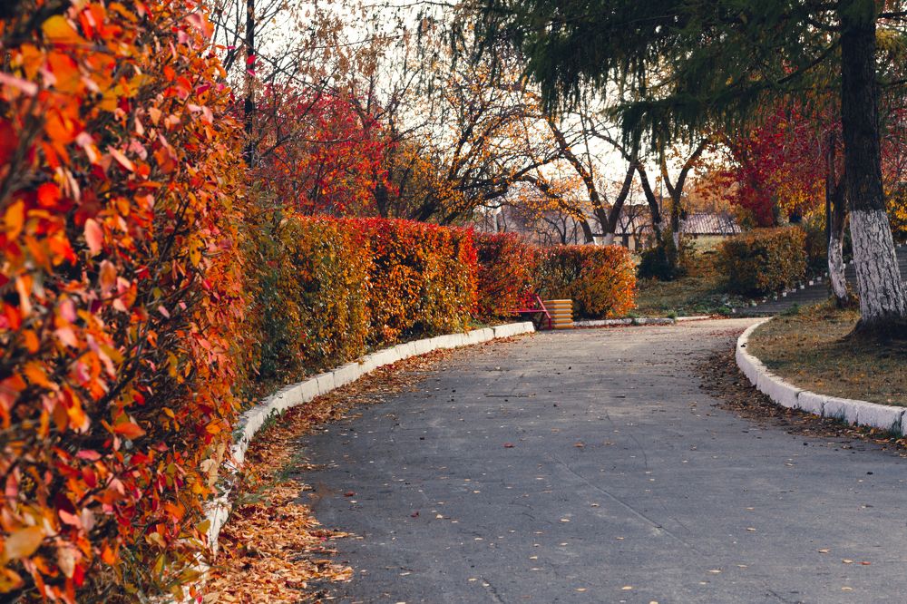 Фотография автора Роман Заиченко