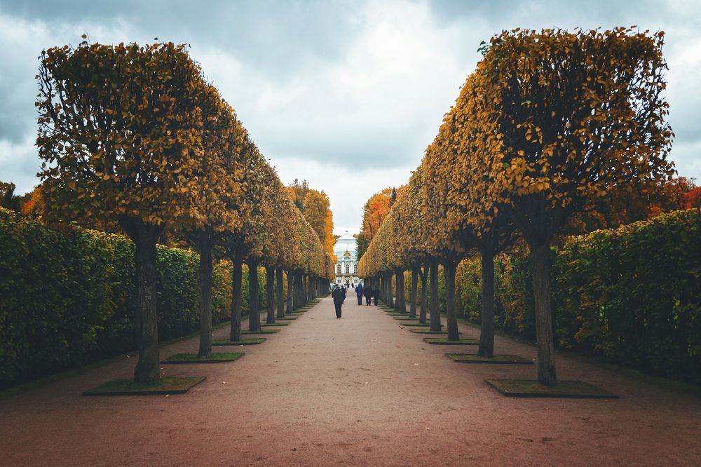 Photograph by Сергей Шпаков