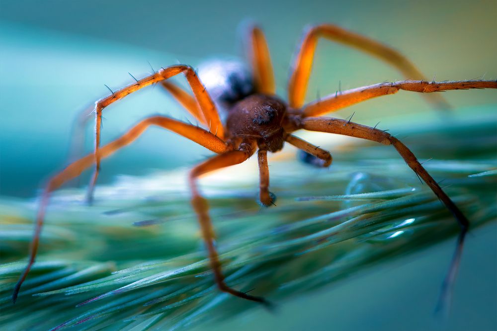 Photograph by Поляков Михаил