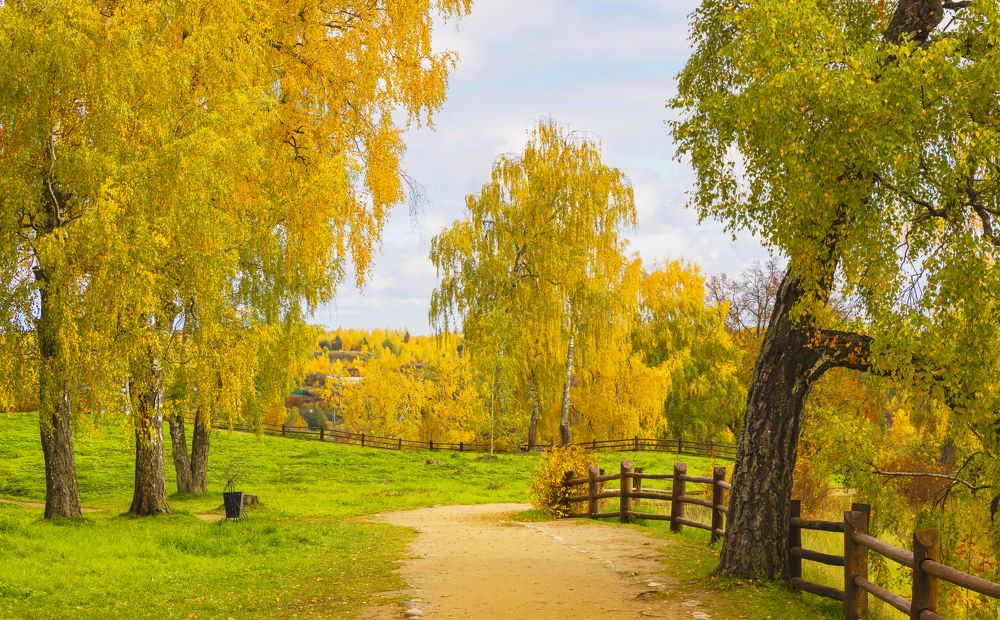 Осень в Плесе