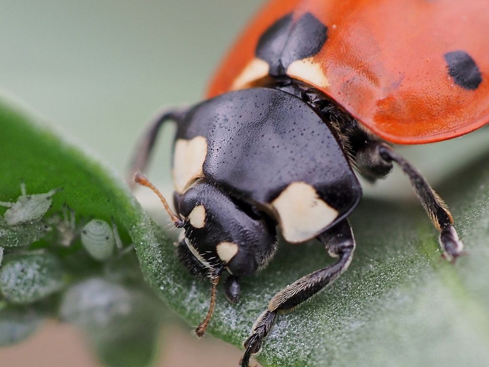 Photograph by Александр Петренко