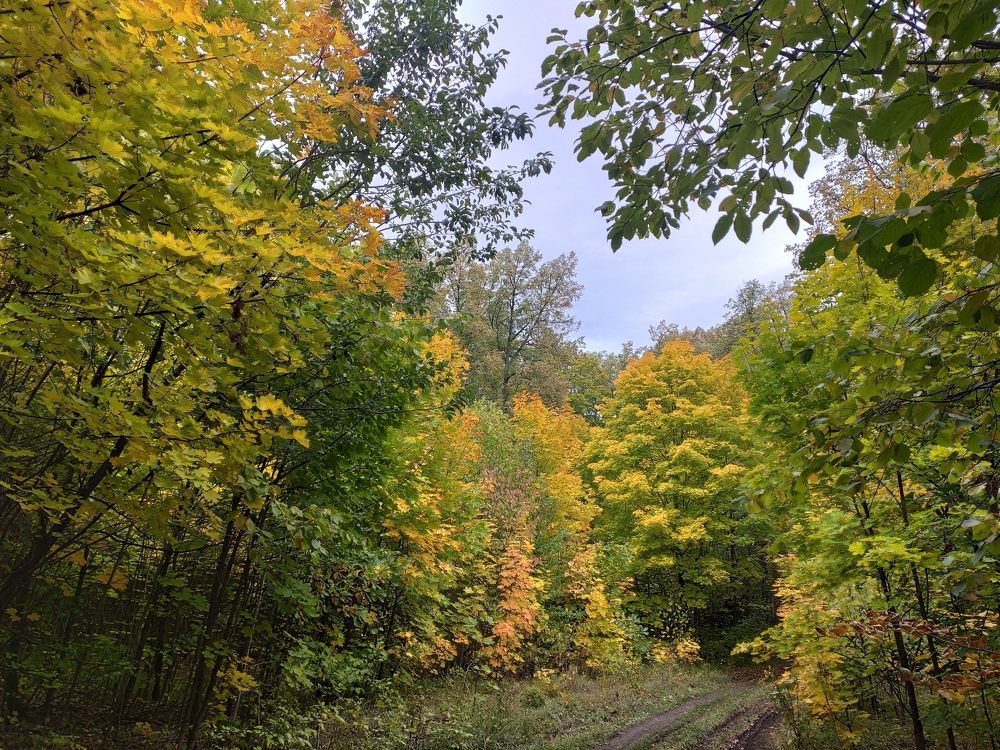 Photograph by Людмила Никитина