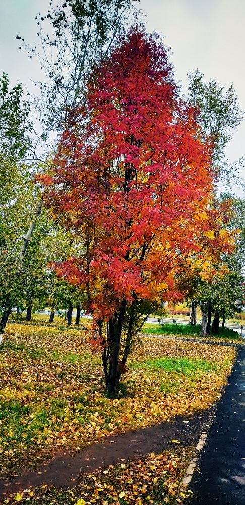 Photograph by Светлана Середина