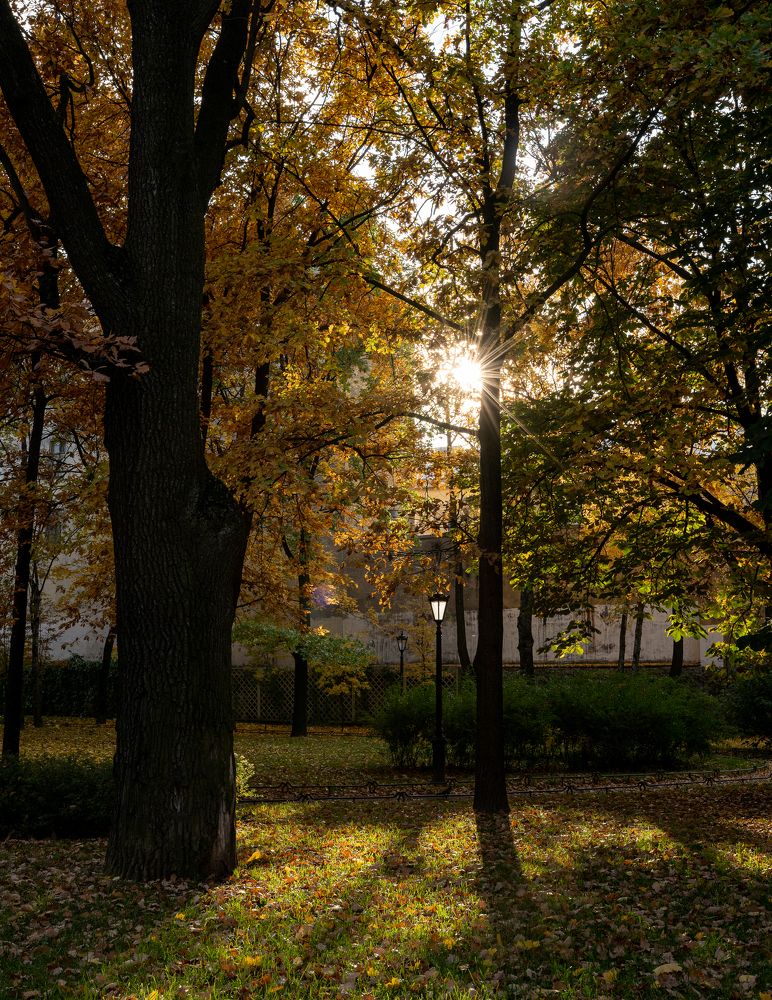 Photograph by Ольга Шупель