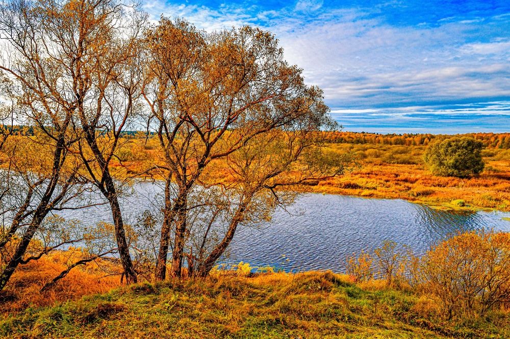 Photograph by Margarita