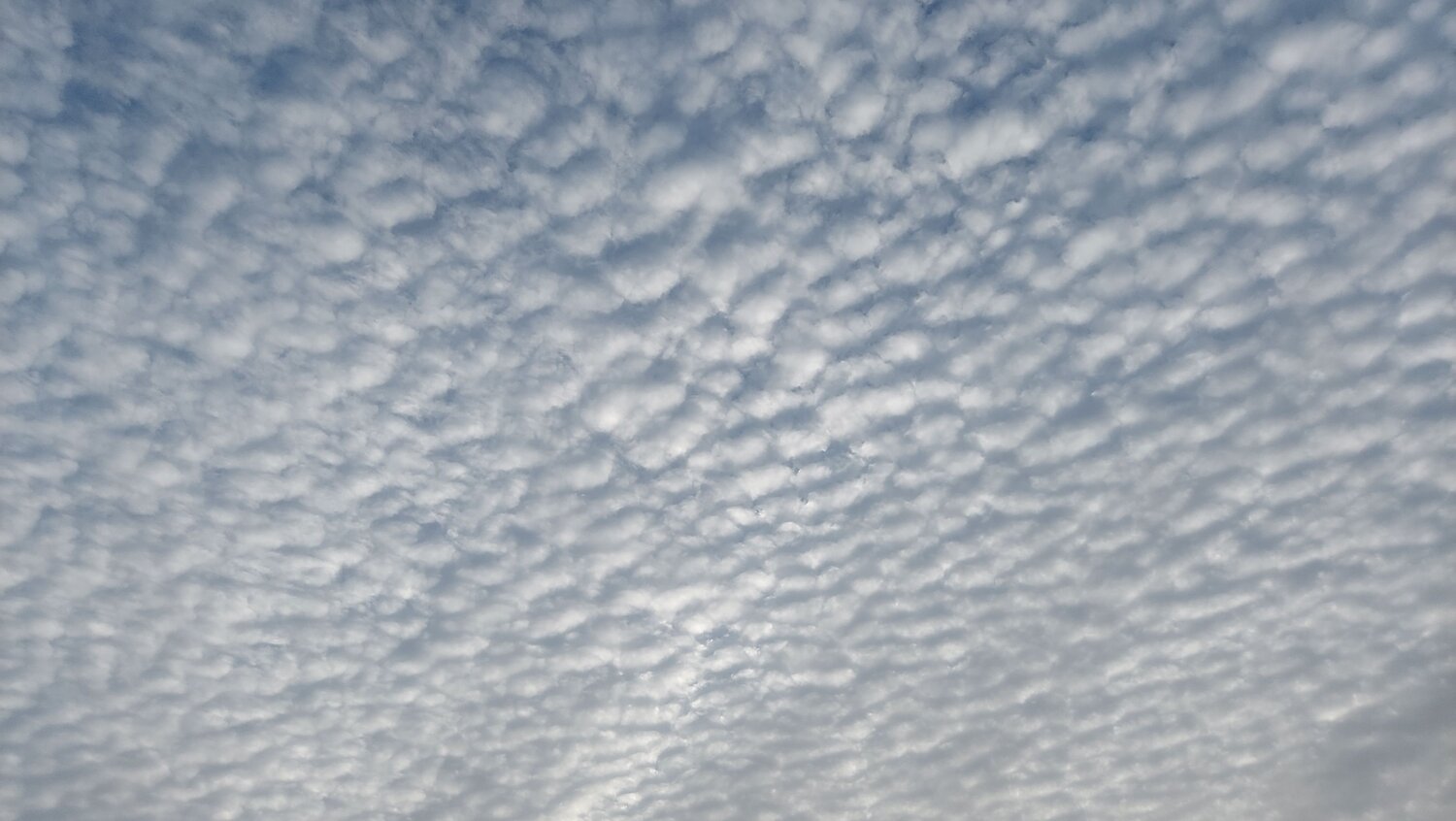 Photo #6566687
