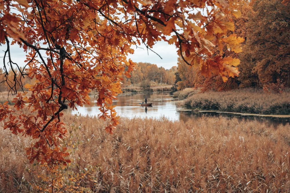 Photograph by Алексей Щербаков