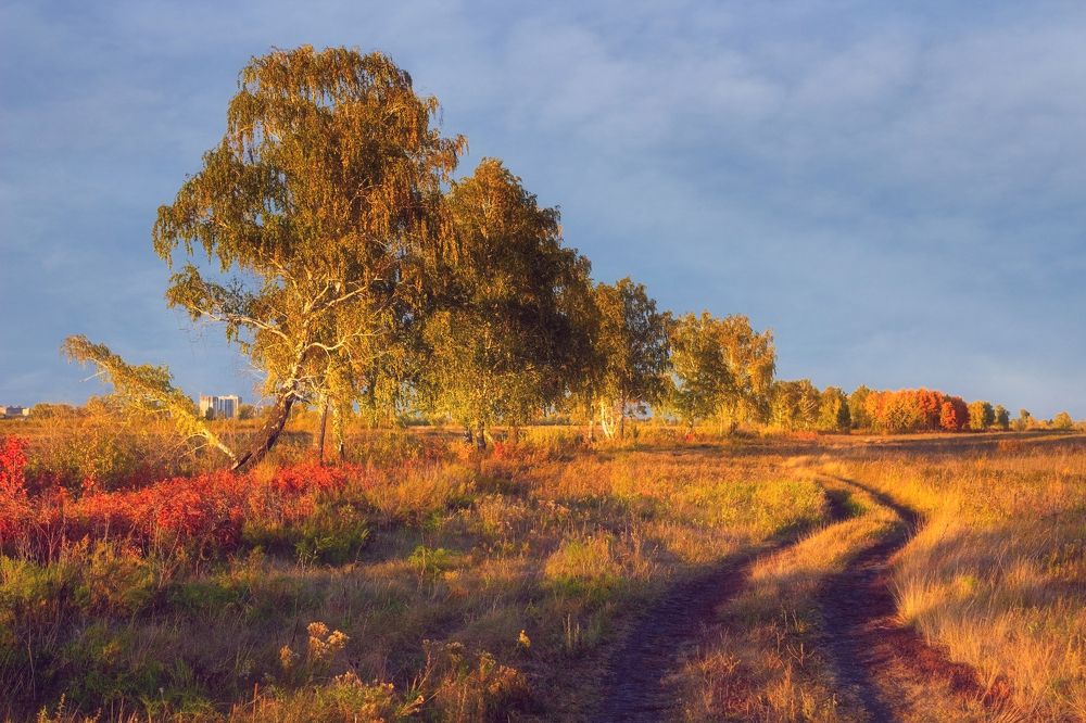 Photograph by Александр Канцур